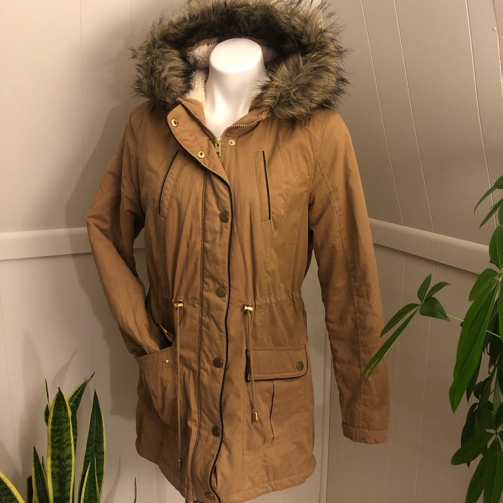Winter Coat